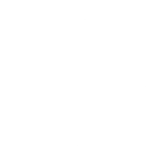 Blog Singular Baby